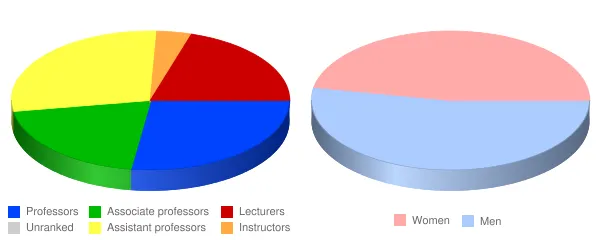 Fairleigh Dickinson University Metropolitan Faculty Demographics Chart