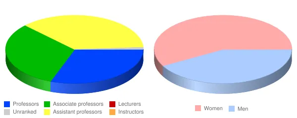Fashion Institute of Technology Faculty Demographics Chart
