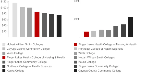 Finger Lakes Health College of Nursing & Health Sciences Faculty Compensation and Workload Chart