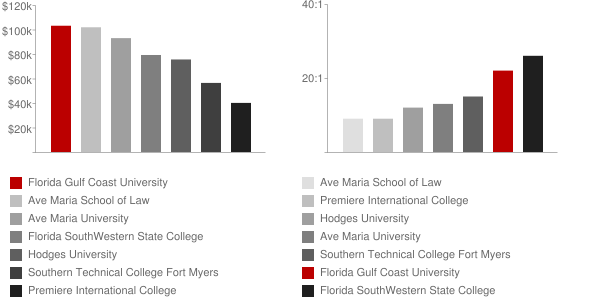florida-gulf-coast-university-faculty-salaries