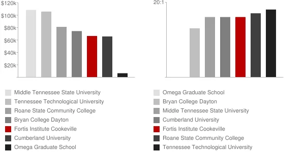 Fortis Institute Cookeville Faculty Compensation and Workload Chart