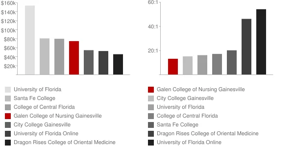 Galen College of Nursing Gainesville Faculty Compensation and Workload Chart