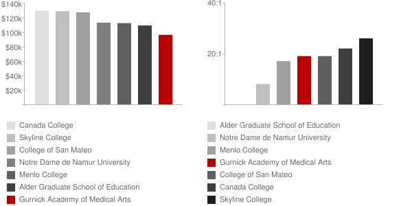 Gurnick Academy of Medical Arts Faculty Compensation and Workload Chart