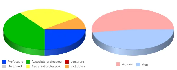 Hampshire College Faculty Demographics Chart