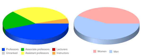 Hardin Simmons University Faculty Demographics Chart