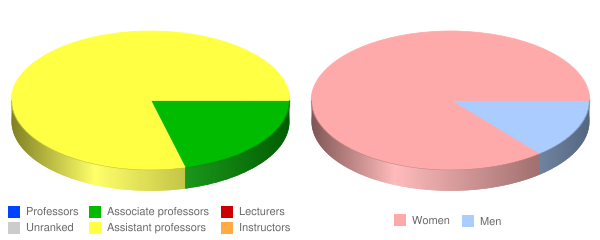 Helene Fuld College of Nursing Faculty Demographics Chart