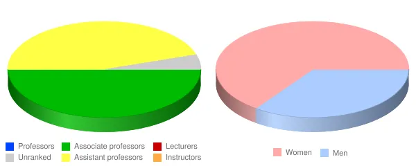 Helene Fuld College of Nursing Faculty Demographics Chart