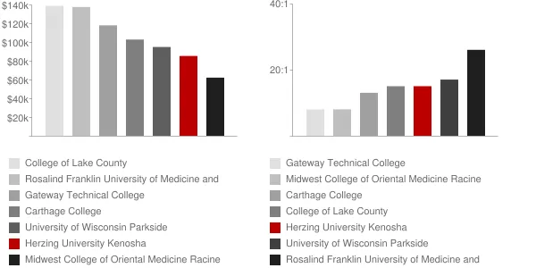 Herzing University Kenosha Faculty Compensation and Workload Chart