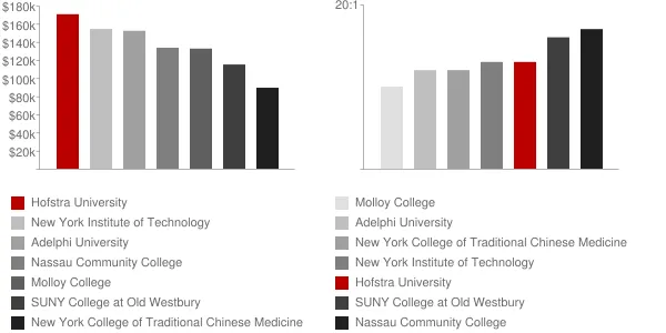 Hofstra University Faculty Compensation and Workload Chart
