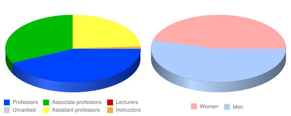 Hofstra University Faculty Demographics Chart