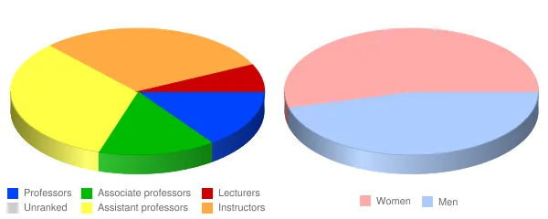 Hudson County Community College Faculty Demographics Chart