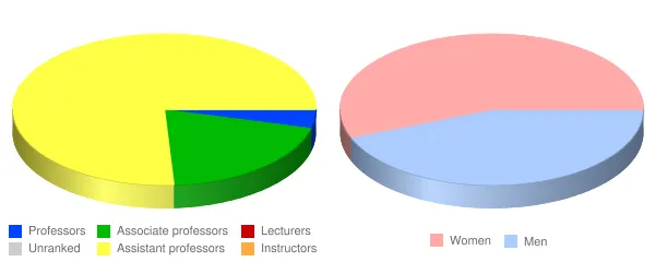 Institute of American Indian and Alaska Native Culture and Arts Development Faculty Demographics Chart