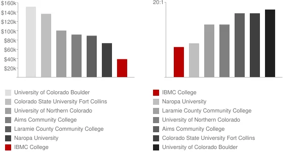 IBMC College Faculty Compensation and Workload Chart