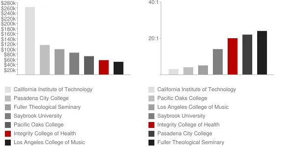 Integrity College of Health Faculty Compensation and Workload Chart