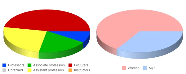 Kent State University at Salem Faculty Demographics Chart