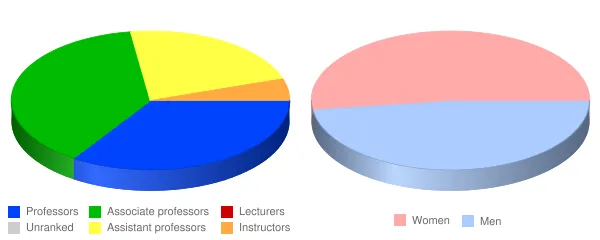 King's College Faculty Demographics Chart