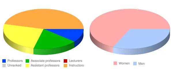 Lackawanna College Faculty Demographics Chart