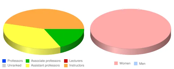 Lakeview College of Nursing Faculty Demographics Chart