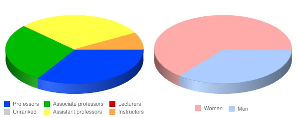 Lesley University Faculty Demographics Chart