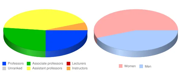 Lewis University Faculty Demographics Chart