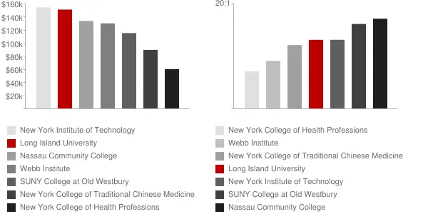 Long Island University Faculty Compensation and Workload Chart