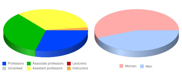 Long Island University Faculty Demographics Chart
