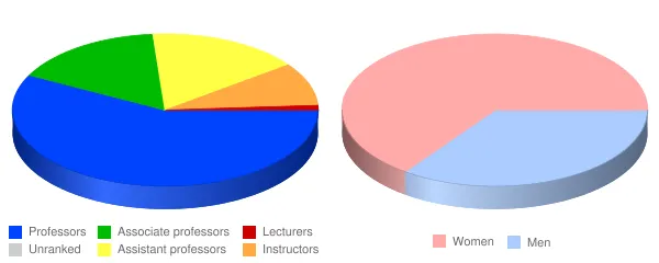 Manchester Community College Faculty Demographics Chart