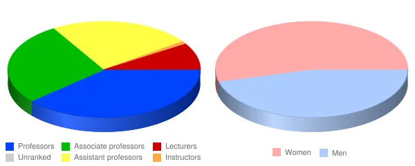 Manhattanville College Faculty Demographics Chart