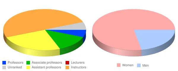 Maria College of Albany Faculty Demographics Chart