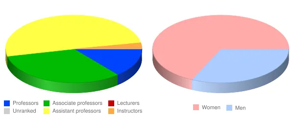 Mary Baldwin University Faculty Demographics Chart