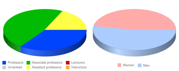 Metropolitan College of New York Faculty Demographics Chart