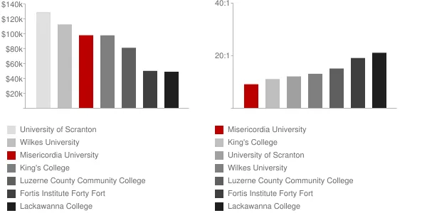 Misericordia University Faculty Compensation and Workload Chart