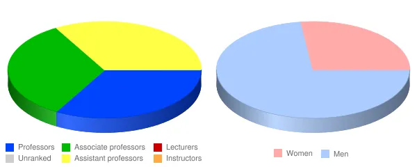 Visible Music College Faculty Demographics Chart