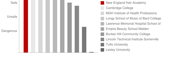 New England Hair Academy Safety Chart