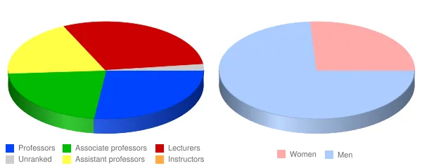 New Jersey Institute of Technology Faculty Demographics Chart