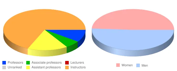 New River Community and Technical College Faculty Demographics Chart