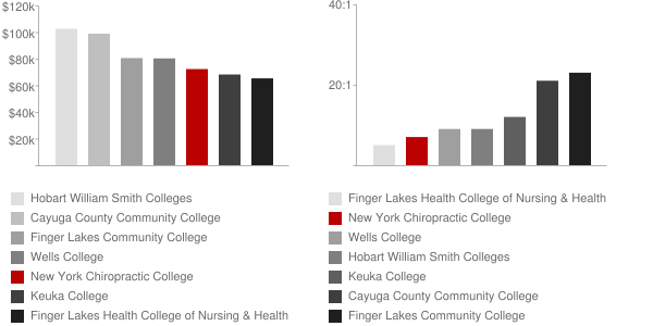 New York Chiropractic College Faculty Compensation and Workload Chart