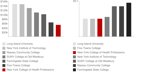 New York College of Health Professions Faculty Compensation and Workload Chart