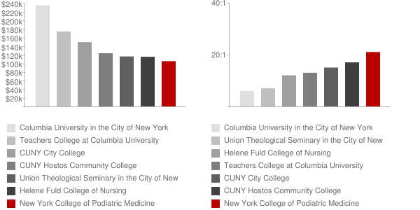 New York College of Podiatric Medicine Faculty Compensation and Workload Chart