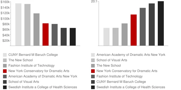 New York Conservatory for Dramatic Arts Faculty Compensation and Workload Chart