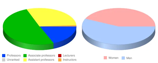 New York Institute of Technology Faculty Demographics Chart