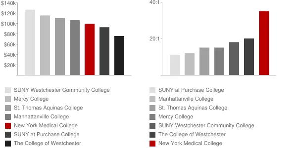 New York Medical College Faculty Compensation and Workload Chart
