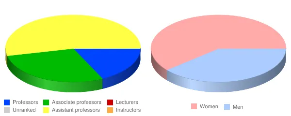 New York Medical College Faculty Demographics Chart