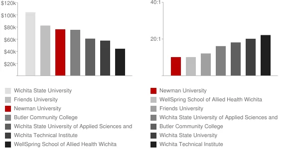 Newman University Faculty Compensation and Workload Chart