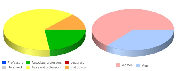North Central State College Faculty Demographics Chart