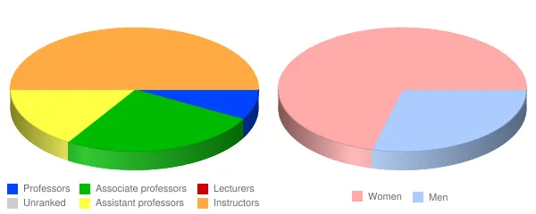 North Country Community College Faculty Demographics Chart