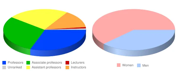 Northeastern University Professional Programs Faculty Demographics Chart