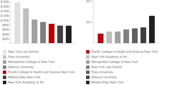 Pacific College of Health and Science New York City Faculty Compensation and Workload Chart