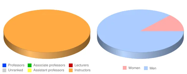 Perry Technical Institute Faculty Demographics Chart