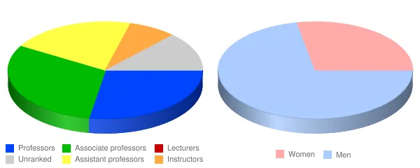 Puerto Rico Conservatory of Music Faculty Demographics Chart